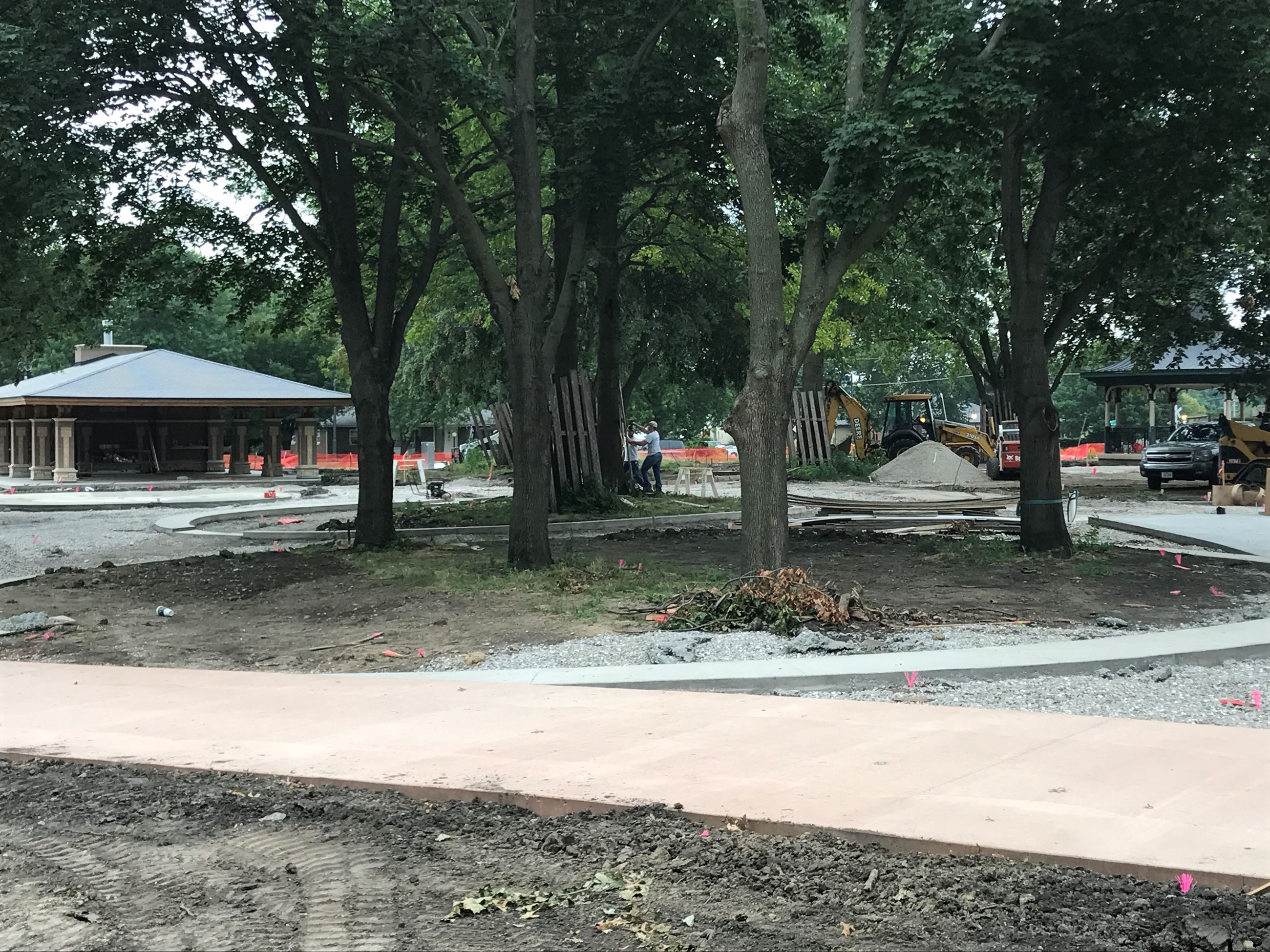 Workers Remove Tree Protection
